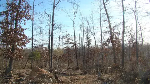 Other - 2382 County Road 670, Birch Tree, MO 65438 photo 15 of 20