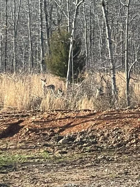 Other - 2382 County Road 670, Birch Tree, MO 65438 photo 19 of 20