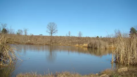 View/Area - 2382 County Road 670, Birch Tree, MO 65438 photo 2 of 3
