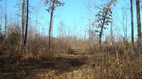 Other - 2382 County Road 670, Birch Tree, MO 65438 photo 17 of 20