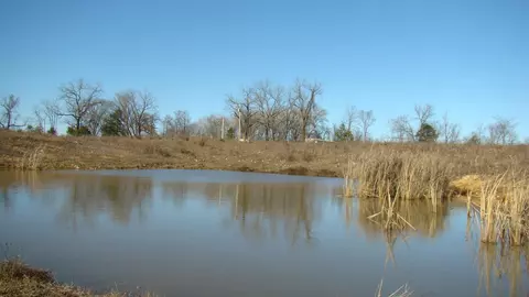 View/Area - 2382 County Road 670, Birch Tree, MO 65438 photo 3 of 3