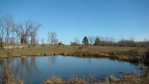 View/Area - 2382 County Road 670, Birch Tree, MO 65438 photo 1 of 3