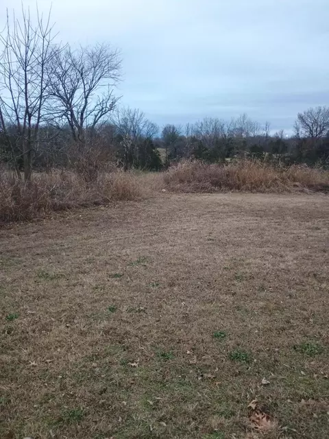 000 Hughes Rd, Willard, MO 65781 photo 3