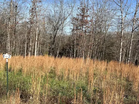 23492381 County Road 359, Thayer, MO 65791 photo 3