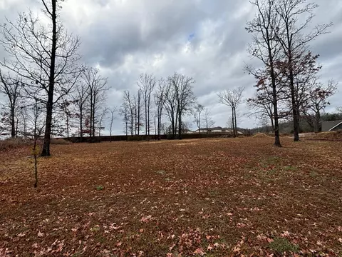 000 Hickory Hills Ct, Branson, MO 65616 photo 5