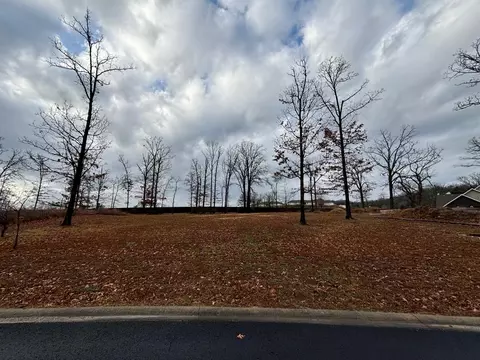 000 Hickory Hills Ct, Branson, MO 65616 photo 3