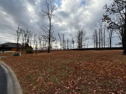 000 Hickory Hills Ct, Branson, MO 65616 photo 4