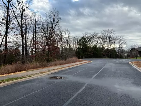 000 Hickory Hills Ct, Branson, MO 65616 photo 6
