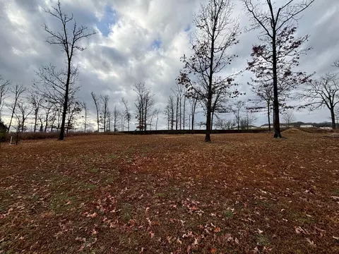 000 Hickory Hills Ct, Branson, MO 65616 photo 2
