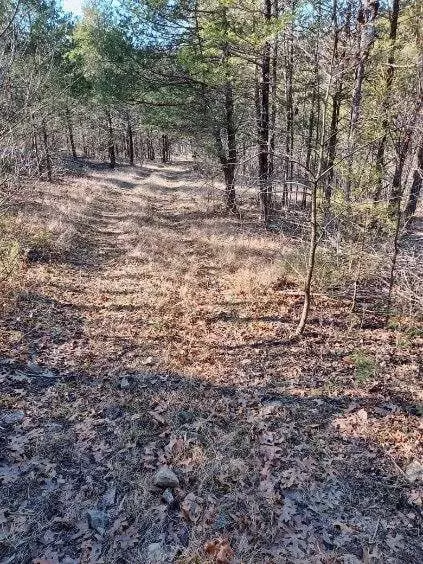 000 Ozark Rd, Reeds Spring, MO 65737 photo 15
