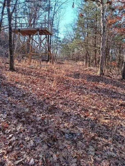 000 Ozark Rd, Reeds Spring, MO 65737 photo 4