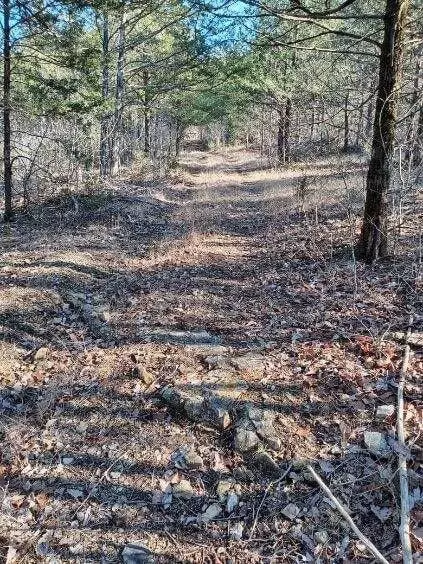 000 Ozark Rd, Reeds Spring, MO 65737 photo 2