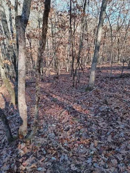 000 Ozark Rd, Reeds Spring, MO 65737 photo 3