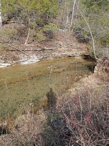 000 Ozark Rd, Reeds Spring, MO 65737 photo 9