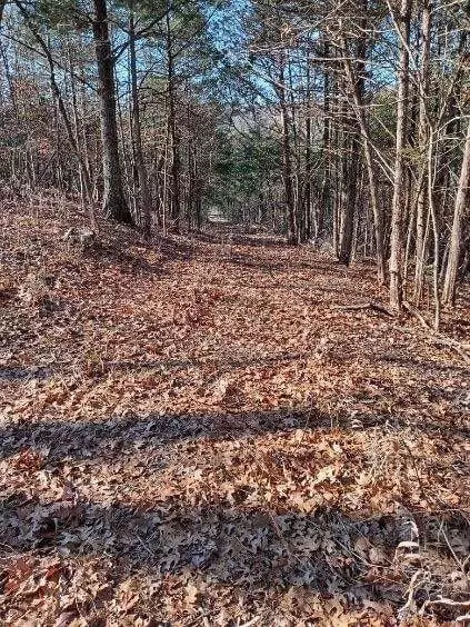 000 Ozark Rd, Reeds Spring, MO 65737 photo 5