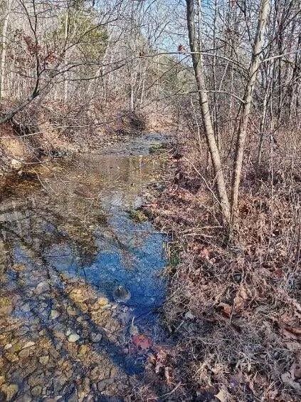 000 Ozark Rd, Reeds Spring, MO 65737 photo 13