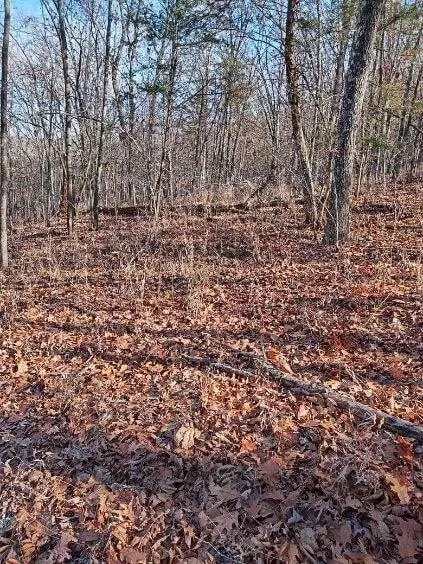 000 Ozark Rd, Reeds Spring, MO 65737 photo 6