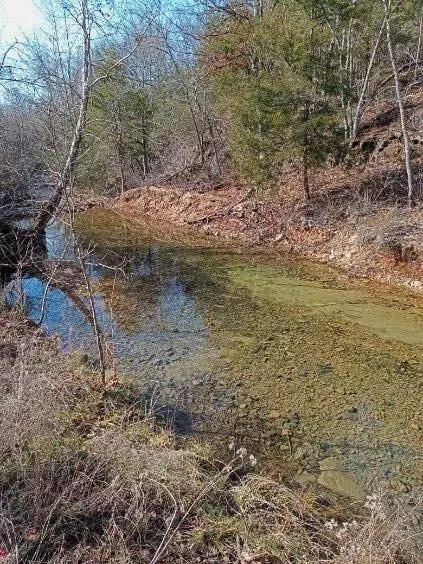 000 Ozark Rd, Reeds Spring, MO 65737 photo 14