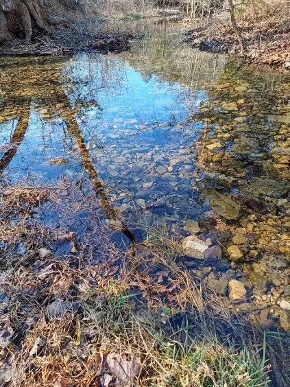 000 Ozark Rd, Reeds Spring, MO 65737 photo 11