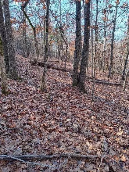 000 Ozark Rd, Reeds Spring, MO 65737 photo 7