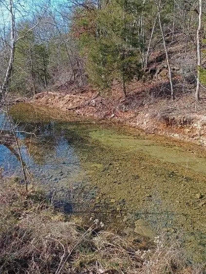 000 Ozark Rd, Reeds Spring, MO 65737 photo 8