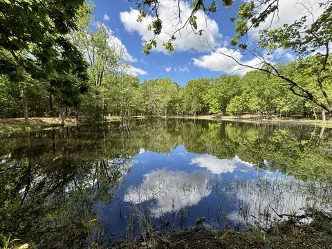 000 Highway 64, Goodson, MO 65663 photo 7