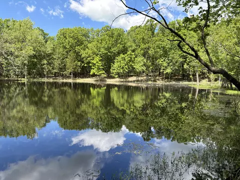 000 Highway 64, Goodson, MO 65663 photo 8