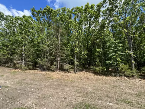 000 Highway 64, Goodson, MO 65663 photo 12