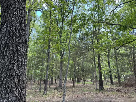 000 Highway 64, Goodson, MO 65663 photo 15