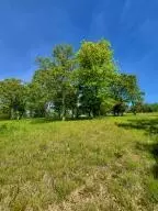 20 Cedar Falls Rd, Shell Knob, MO 65747 photo 7