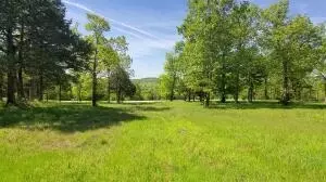 20 Cedar Falls Rd, Shell Knob, MO 65747 photo 6