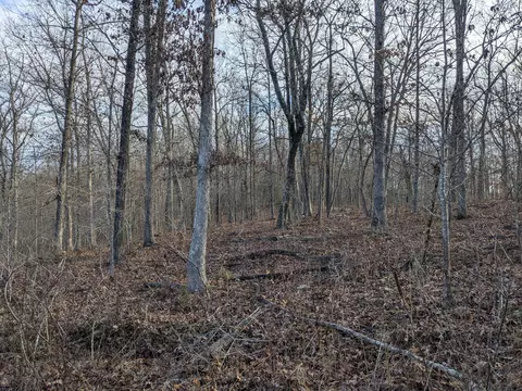 000 County Road 6285, Jadwin, MO 65501 photo 10