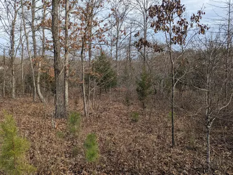 000 County Road 6285, Jadwin, MO 65501 photo 2