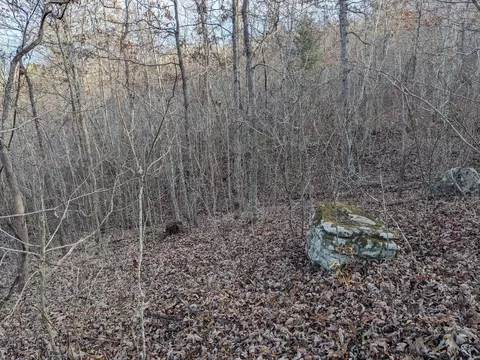 000 County Road 6285, Jadwin, MO 65501 photo 8