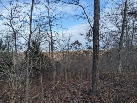 000 County Road 6285, Jadwin, MO 65501 photo 11