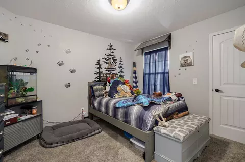 713 W Christopher Ln, Clever, MO 65631 photo 21