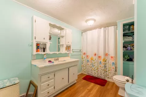 236 S Walnut Ave, Republic, MO 65738 photo 17
