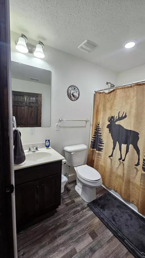 209 E Clouse St, Mountain Grove, MO 65711 photo 24