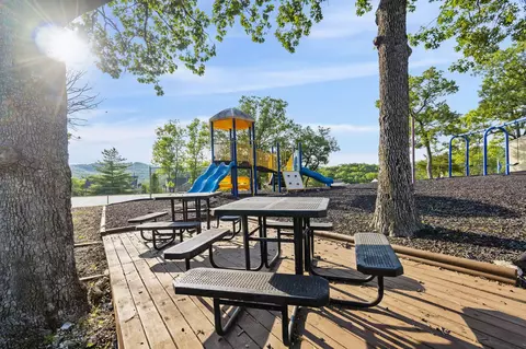 View/Area - 18 Goldfinch Dr #1, Indian Point, MO 65616 photo 13 of 23