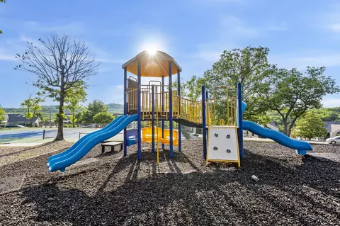 Other - 18 Goldfinch Dr #1, Indian Point, MO 65616 photo 14 of 33