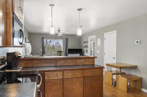 Kitchen - 18 Goldfinch Dr #1, Indian Point, MO 65616 photo 6 of 6