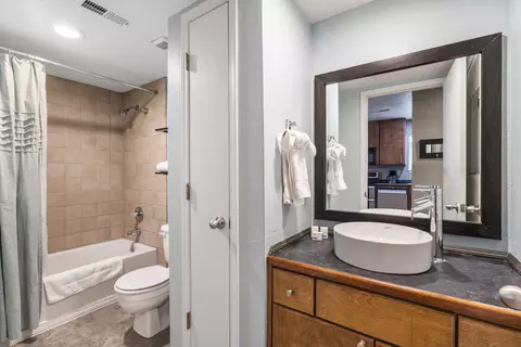 Bath - 18 Goldfinch Dr #1, Indian Point, MO 65616 photo 3 of 3