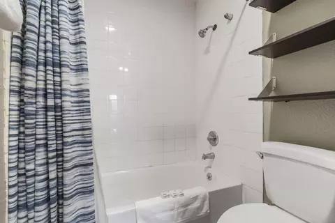 Bath - 18 Goldfinch Dr #1, Indian Point, MO 65616 photo 2 of 3