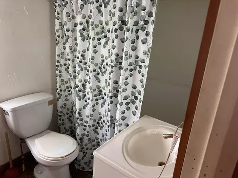 1820 N Patterson Ave, Springfield, MO 65803 photo 8