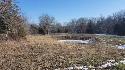 tbd Highway Ee, Mountain Grove, MO 65711 photo 9