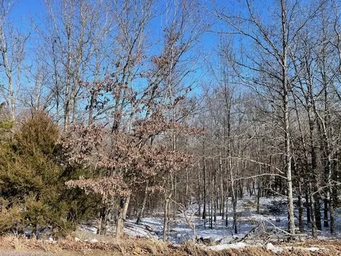 2646 Hwy Hh, Cabool, MO 65689 photo 17