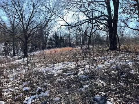 2646 Hwy Hh, Cabool, MO 65689 photo 27