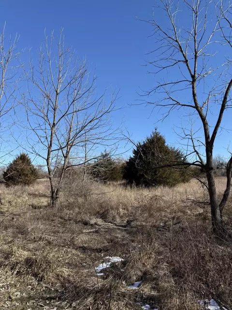 6126 W Fall River Ln, Springfield, MO 65803 photo 5