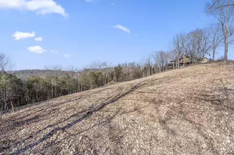 tbd Cactus Ln, Branson West, MO 65737 photo 7