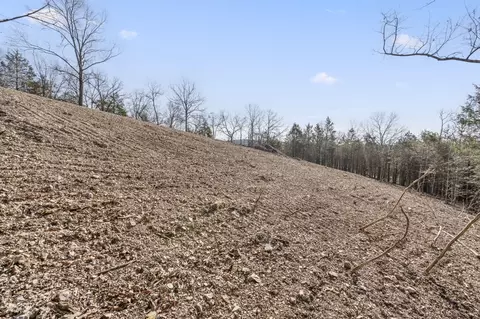 tbd Cactus Ln, Branson West, MO 65737 photo 12
